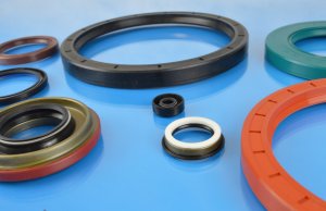 Small and Large Oil Seals